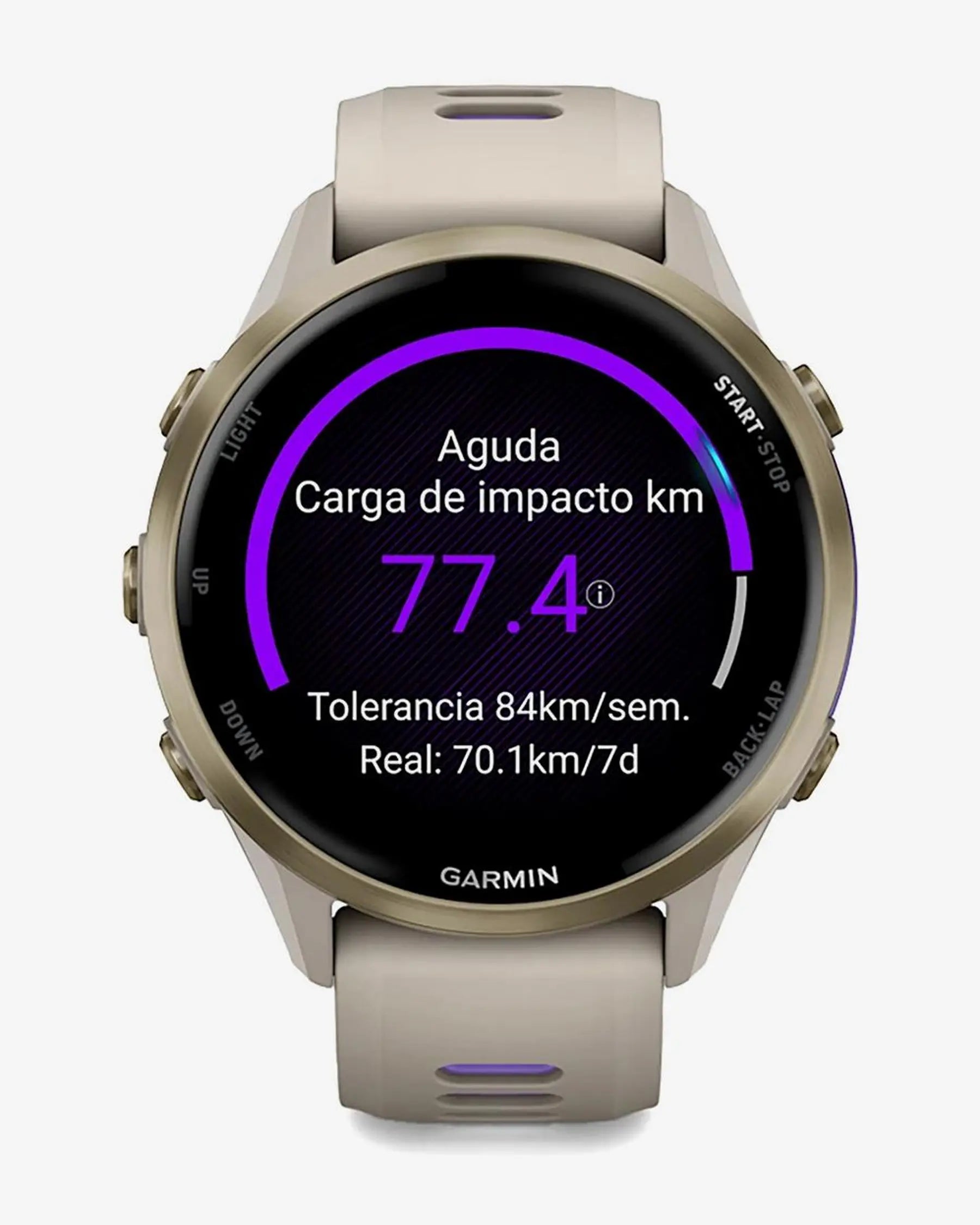 Garmin Forerunner 970 (grigio) con cinturino grigio-lilla